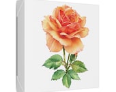 Apricot Orange Rose Botanical Art Classic Stretched Canvas | Floral Wall Decor, detail view (Bill Shew)