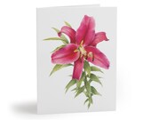 Pink Lily Greeting Card, Watercolor Botanical Card, Floral Note Card, Lily Flower Card by Bill Shew