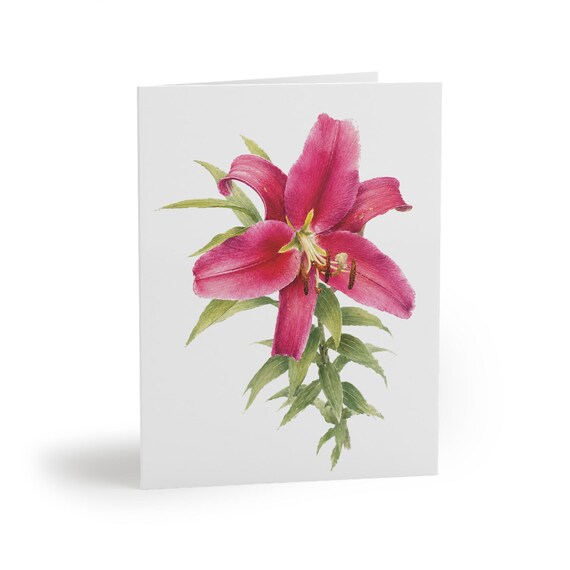 Pink Lily Greeting Card, Watercolor Botanical Card, Floral Note Card, Lily Flower Card by Bill Shew