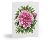 8 cards - Pink Peony Watercolor Card, Botanical Blush Floral Illustration by Bill Shew
