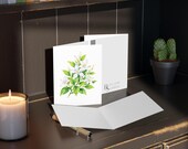 8 cards - White Star Jasmine Botanical Watercolor Greeting Card, Floral Note Card, alternate view (Bill Shew)
