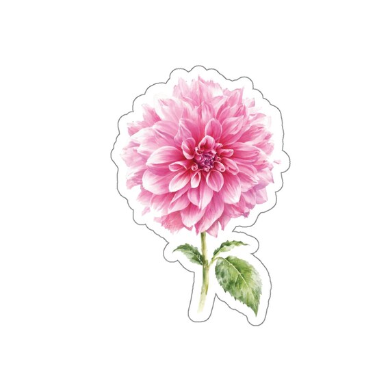 Pink Dahlia Sticker, Watercolor Dahlia Flower Sticker, Botanical Floral Sticker by Bill Shew