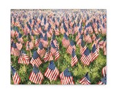 Boston Common Flag Garden Canvas Print, American Flags Digital Art Print, Memorial Wall Art, Canvas Wall Decor, Bill Shew wall art print