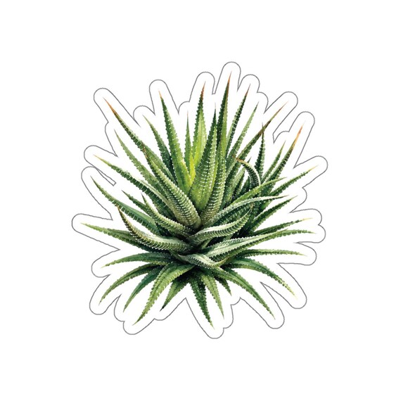 Haworthia Succulent Sticker, Zebra Haworthia Plant Sticker, Botanical Die Cut Sticker by Bill Shew
