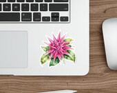 Pink Bromeliad Sticker, Tropical Flower Die Cut Sticker, Pink Botanical Sticker, detail view (Bill Shew)