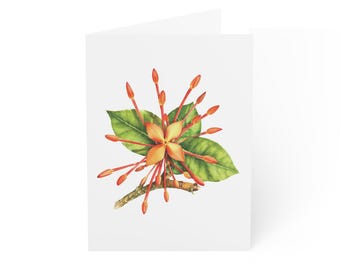 Ixora Flower Greeting Card, Digital Art Print, Botanical Card, Blank Inside