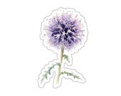 Purple Globe Thistle Sticker, Watercolor Echinops Flower Decal by Bill Shew