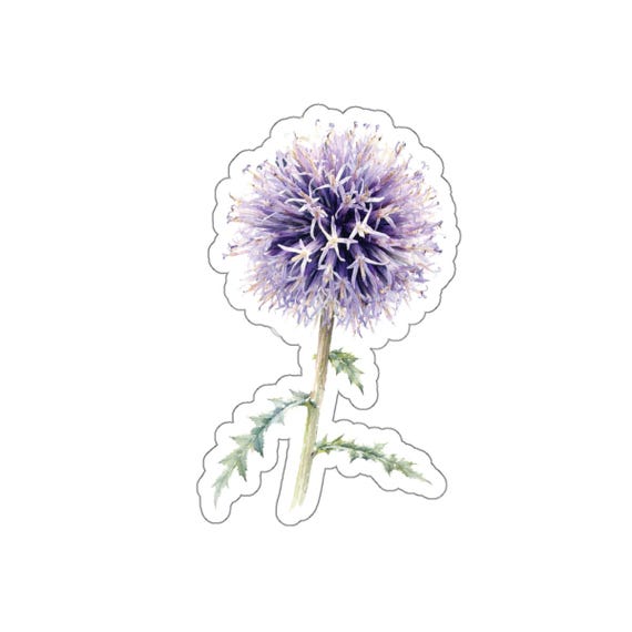 Purple Globe Thistle Sticker, Echinops Flower Sticker, Lavender Botanical Sticker by Bill Shew