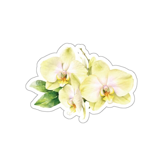 Yellow Orchid Sticker, Phalaenopsis Orchid Sticker, Cream Orchid Flower by Bill Shew
