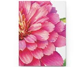 Pink Zinnia Hardcover Journal | Watercolor Floral Notebook, Lined Pages, alternate view (Bill Shew)