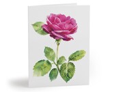 8 cards - Pink Rose Watercolor Card, Botanical Floral Note by Bill Shew