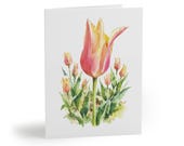 8 cards - Pink Yellow Tulip Watercolor Greeting Card, Botanical Spring Floral Note by Bill Shew