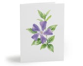 8 cards - Periwinkle Botanical Watercolor Greeting Card, Floral Note Card, Garden Art by Bill Shew