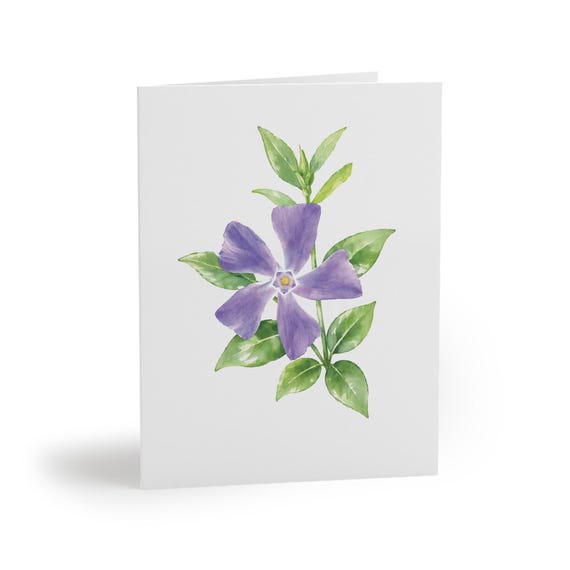 8 cards - Periwinkle Botanical Watercolor Greeting Card, Floral Note Card, Garden Art by Bill Shew
