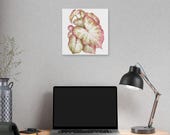 Pink White Caladium Botanical Watercolor Classic Stretched Canvas | Botanical Wall Decor, alternate view (Bill Shew)