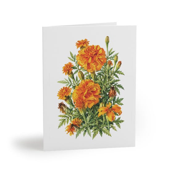 8 cards - Orange Marigold Botanical Watercolor Greeting Card, Golden Floral Art Note by Bill Shew