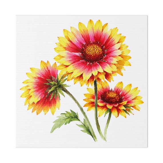 Red Yellow Blanket Flower Botanical Art Classic Stretched Canvas | Floral Wall Decor, Bill Shew canvas print
