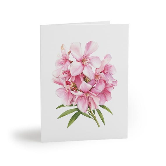 8 cards - Pink Oleander Botanical Watercolor Greeting Card, Floral Note Card by Bill Shew