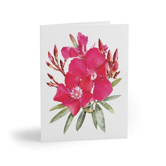 8 cards - Pink Oleander Botanical Watercolor Greeting Card, Tropical Floral Art by Bill Shew