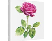Magenta Rose Botanical Art Classic Stretched Canvas | Floral Wall Decor, framing detail (Bill Shew)
