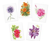Floral Note Cards, Botanical Greeting Assortment (Set of 5) by Bill Shew
