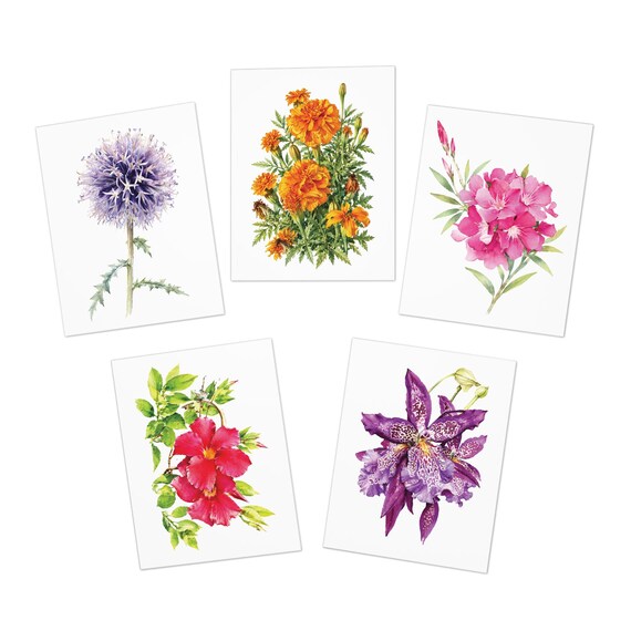 Floral Note Cards, Botanical Greeting Assortment (Set of 5) by Bill Shew