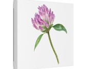 Purple Red Clover Botanical Art Classic Stretched Canvas | Floral Wall Decor, framing detail (Bill Shew)