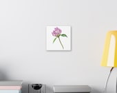 Purple Red Clover Botanical Art Classic Stretched Canvas | Floral Wall Decor, alternate view (Bill Shew)