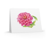 8 cards - Pink Zinnia Watercolor Greeting Card, Botanical Flower Illustration by Bill Shew