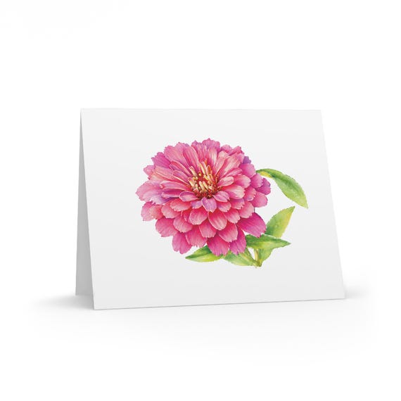 8 cards - Pink Zinnia Watercolor Greeting Card, Botanical Flower Illustration by Bill Shew