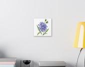 Blue Chicory Botanical Art Classic Stretched Canvas | Wildflower Wall Decor, alternate view (Bill Shew)