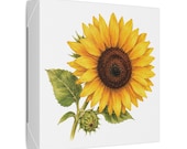 Golden Sunflower Botanical Art Classic Stretched Canvas | Floral Wall Decor, detail view (Bill Shew)