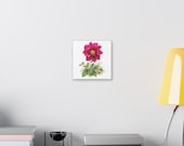 Magenta Dahlia Botanical Art Classic Stretched Canvas | Floral Wall Decor, alternate view (Bill Shew)