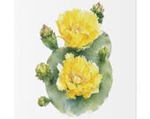 Yellow Prickly Pear Cactus Botanical Art Classic Stretched Canvas, close-up (Bill Shew)