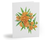 8 cards - Butterfly Weed Greeting Card, Orange Milkweed Watercolor, Butterfly Flower Card by Bill Shew