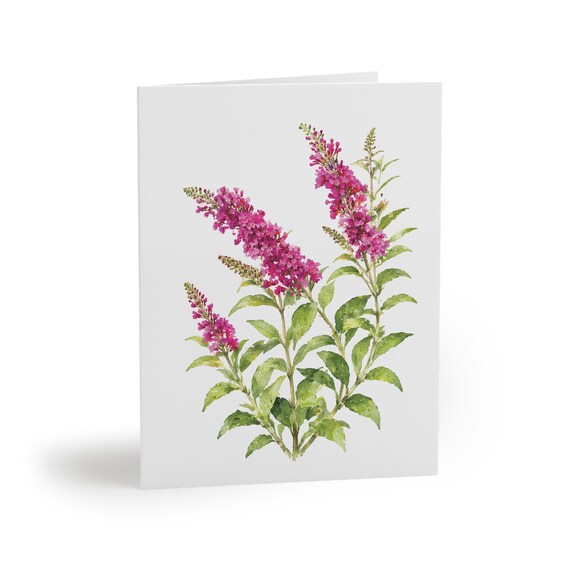 8 cards - Pink Butterfly Bush Botanical Greeting Card, Watercolor Lilac Blossoms (Digital Art Print) 8 cards - Pink Butterfly Bush Botanical Greeting Card by Bill Shew