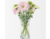 Pink Chrysanthemum Bouquet Botanical Art Classic Stretched Canvas, close-up (Bill Shew)