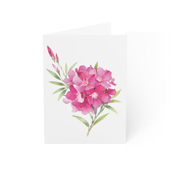 Pink Oleander Greeting Card, Digital Art Print, Botanical Card, Blank Inside, Bill Shew wall art print