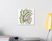 Pink Caladium Botanical Art Classic Stretched Canvas | Botanical Wall Decor, detail view (Bill Shew)
