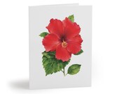8 cards - Red Hibiscus Watercolor Card, Tropical Floral Botanical Illustration, Blank Note by Bill Shew
