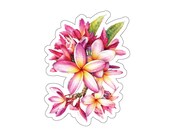 Pink Plumeria Sticker, Watercolor Frangipani Flower Decal, Tropical Botanical Art by Bill Shew