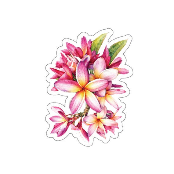 Pink Plumeria Sticker, Frangipani Flower Sticker, Tropical Floral Sticker by Bill Shew