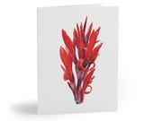 8 cards - Red Canna Lily Greeting Card, Canna Botanical Watercolor, Tropical Flower Art by Bill Shew