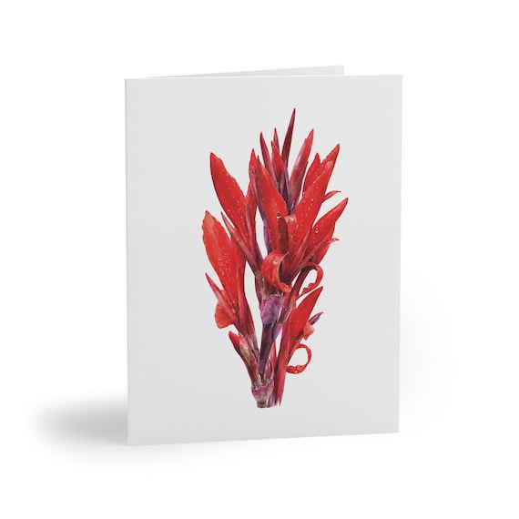 8 cards - Red Canna Lily Greeting Card, Canna Botanical Watercolor, Tropical Flower Art by Bill Shew