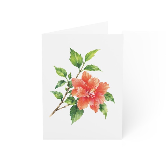 Orange Hibiscus Card, Digital Art Print, Botanical Card, Blank Inside, Bill Shew wall art print