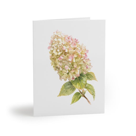 8 cards - Panicle Hydrangea Watercolor Greeting Card, Pink and White Hydrangea by Bill Shew