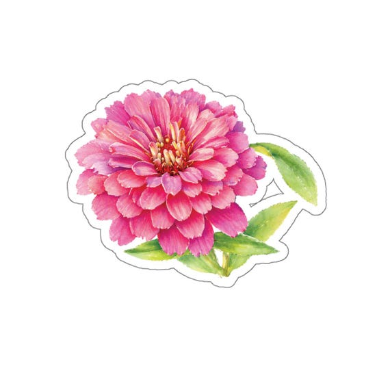 Pink Zinnia Sticker, Zinnia Flower Die Cut Sticker, Pink Floral Sticker by Bill Shew