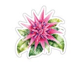 Pink Bromeliad Sticker, Tropical Flower Die Cut Sticker, Pink Botanical Sticker by Bill Shew