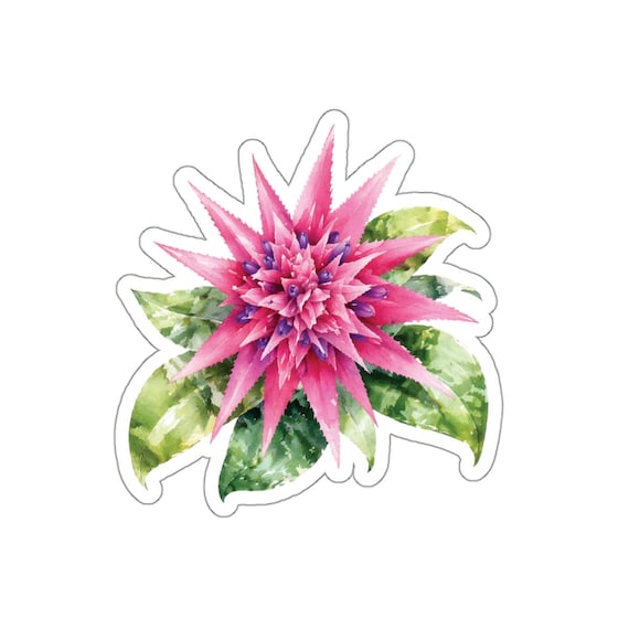 Pink Bromeliad Sticker, Tropical Flower Die Cut Sticker, Pink Botanical Sticker by Bill Shew