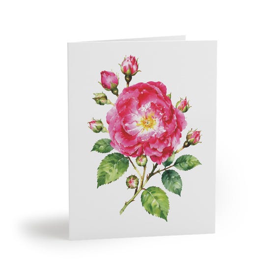 8 cards - Pink Peony Watercolor Greeting Card, Botanical Floral Art Note Card by Bill Shew